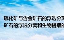 硫化矿与含金矿石的浮选分离和生物提取(关于硫化矿与含金矿石的浮选分离和生物提取的简介)