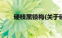 硬枝黑锁梅(关于硬枝黑锁梅的简介)