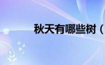秋天有哪些树（秋季有哪些树）
