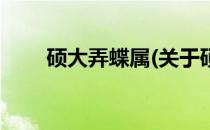 硕大弄蝶属(关于硕大弄蝶属的简介)
