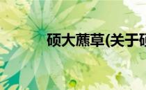 硕大藨草(关于硕大藨草的简介)