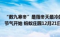 “数九寒冬”是指冬天最冷的那些日子，“数九”是从哪个节气开始 蚂蚁庄园12月21日答案最新