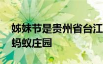 姊妹节是贵州省台江县苗族蚂蚁新村 姊妹节蚂蚁庄园