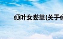 硬叶女娄草(关于硬叶女娄草的简介)
