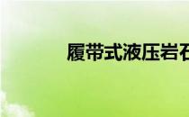履带式液压岩石破碎机hb20g