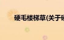 硬毛楼梯草(关于硬毛楼梯草的简介)