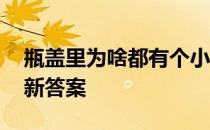 瓶盖里为啥都有个小胶垫 小胶垫蚂蚁庄园最新答案