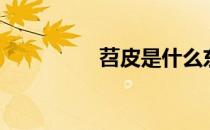 苕皮是什么东西（苕皮）