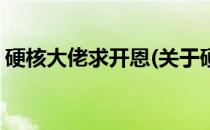 硬核大佬求开恩(关于硬核大佬求开恩的简介)