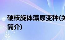 硬枝旋体藻原变种(关于硬枝旋体藻原变种的简介)
