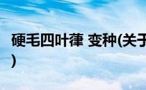 硬毛四叶葎 变种(关于硬毛四叶葎 变种的简介)
