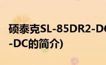 硕泰克SL-85DR2-DC(关于硕泰克SL-85DR2-DC的简介)