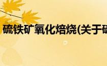 硫铁矿氧化焙烧(关于硫铁矿氧化焙烧的简介)
