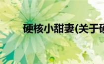 硬核小甜妻(关于硬核小甜妻的简介)