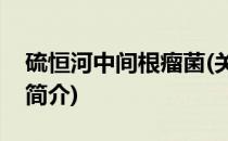 硫恒河中间根瘤菌(关于硫恒河中间根瘤菌的简介)