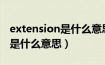 extension是什么意思中文翻译（extension是什么意思）