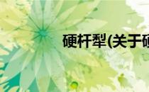 硬杆犁(关于硬杆犁的简介)