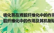 硫化氢在肾脏纤维化中的作用及其机制研究(关于硫化氢在肾脏纤维化中的作用及其机制研究的简介)
