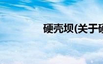 硬壳坝(关于硬壳坝的简介)