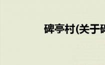 碑亭村(关于碑亭村的简介)
