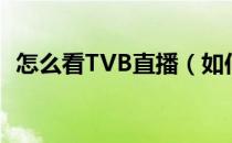 怎么看TVB直播（如何看TVB节目的直播）