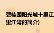 碧桂园阳光城十里江湾(关于碧桂园阳光城十里江湾的简介)