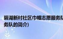 碧湖新村社区巾帼志愿服务队(关于碧湖新村社区巾帼志愿服务队的简介)