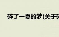 碎了一夏的梦(关于碎了一夏的梦的简介)