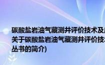 碳酸盐岩油气藏测井评价技术及应用/中国石油勘探工程技术攻关丛书(关于碳酸盐岩油气藏测井评价技术及应用/中国石油勘探工程技术攻关丛书的简介)