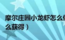 摩尔庄园小龙虾怎么做菜（摩尔庄园小龙虾怎么获得）