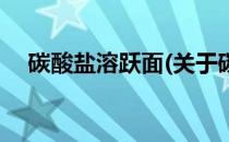 碳酸盐溶跃面(关于碳酸盐溶跃面的简介)