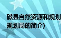 磁县自然资源和规划局(关于磁县自然资源和规划局的简介)