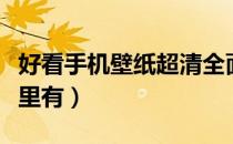 好看手机壁纸超清全面屏（好看的手机壁纸哪里有）