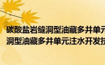 碳酸盐岩缝洞型油藏多井单元注水开发技术(关于碳酸盐岩缝洞型油藏多井单元注水开发技术的简介)