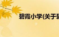 碧霞小学(关于碧霞小学的简介)