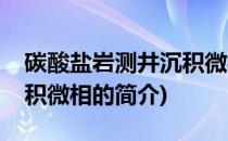 碳酸盐岩测井沉积微相(关于碳酸盐岩测井沉积微相的简介)