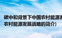 碳中和背景下中国农村能源发展战略(关于碳中和背景下中国农村能源发展战略的简介)