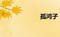 孤鸿子（孤鸿）