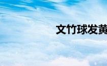 文竹球发黄（文竹球）