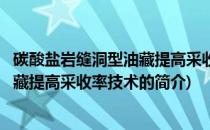 碳酸盐岩缝洞型油藏提高采收率技术(关于碳酸盐岩缝洞型油藏提高采收率技术的简介)