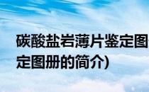 碳酸盐岩薄片鉴定图册(关于碳酸盐岩薄片鉴定图册的简介)