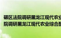 碾区法院调研黑龙江现代农业综合配套改革试验(关于碾区法院调研黑龙江现代农业综合配套改革试验的简介)