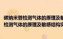 碳纳米管检测气体的原理及敏感结构实验研究(关于碳纳米管检测气体的原理及敏感结构实验研究的简介)