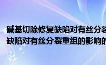 碱基切除修复缺陷对有丝分裂重组的影响(关于碱基切除修复缺陷对有丝分裂重组的影响的简介)