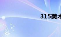 315美术高考网