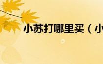 小苏打哪里买（小苏打哪里买得到）