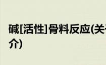 碱[活性]骨料反应(关于碱[活性]骨料反应的简介)