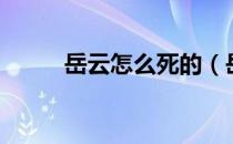 岳云怎么死的（岳云是如何死的）