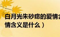 白月光朱砂痣的爱情含义（白月光朱砂痣的爱情含义是什么）
