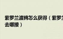 紫罗兰渡鸦怎么获得（紫罗兰魔翼鸦怎么获得泰坦之血任务去哪接）